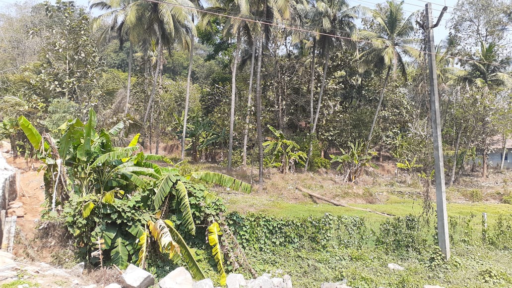 110 cent commercial land for sale in Kuthiran ,Thrissur