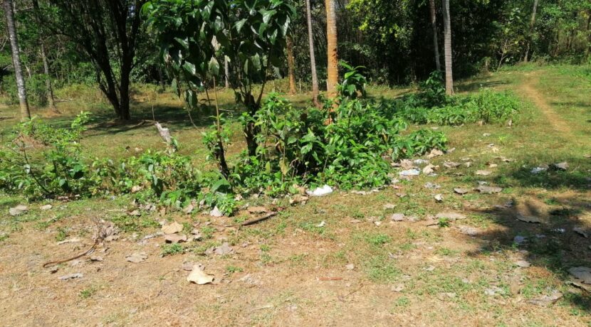 da7176e5-1339-40e2-8dad-de24f6917d52