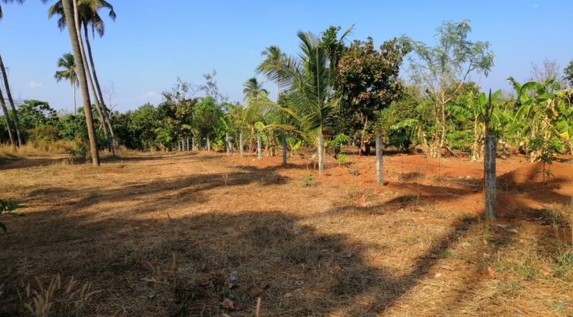 1727db33-0552-4653-80c8-5223e5763bbd