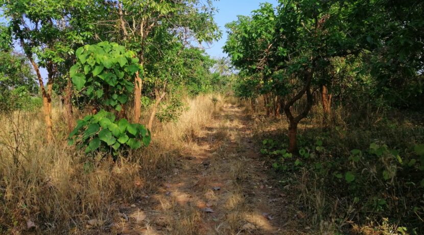 332b3c17-7ac6-4c72-a9c0-29ce8358ba80