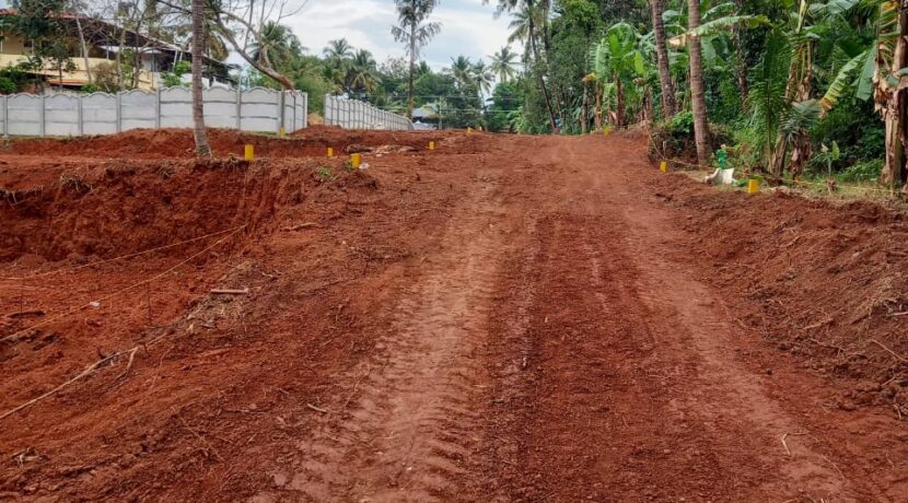 WhatsApp Image 2021-01-13 at 18.57.08 (1)