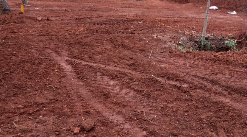 WhatsApp Image 2021-01-13 at 18.57.08