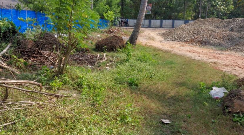 WhatsApp Image 2021-02-08 at 12.56.57 PM (1)