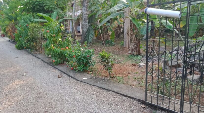 WhatsApp Image 2021-02-19 at 5.12.38 PM