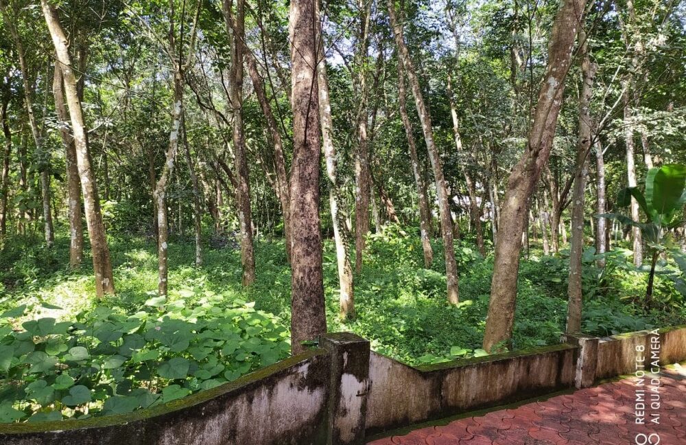 0ae871be-696b-400e-9061-eb41672589bb