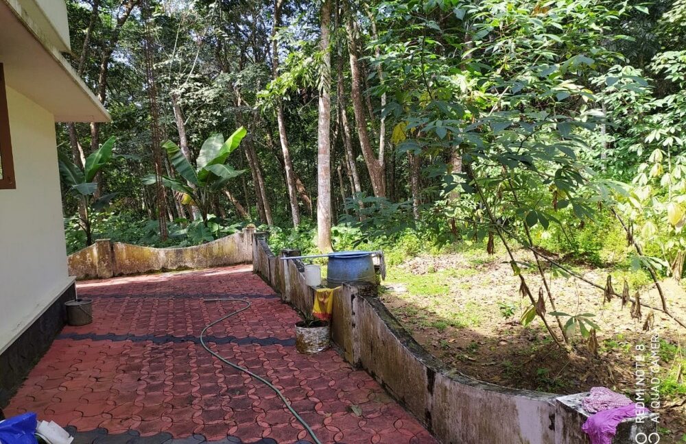 f80a0788-ade2-40fa-9195-4e22f19438ed