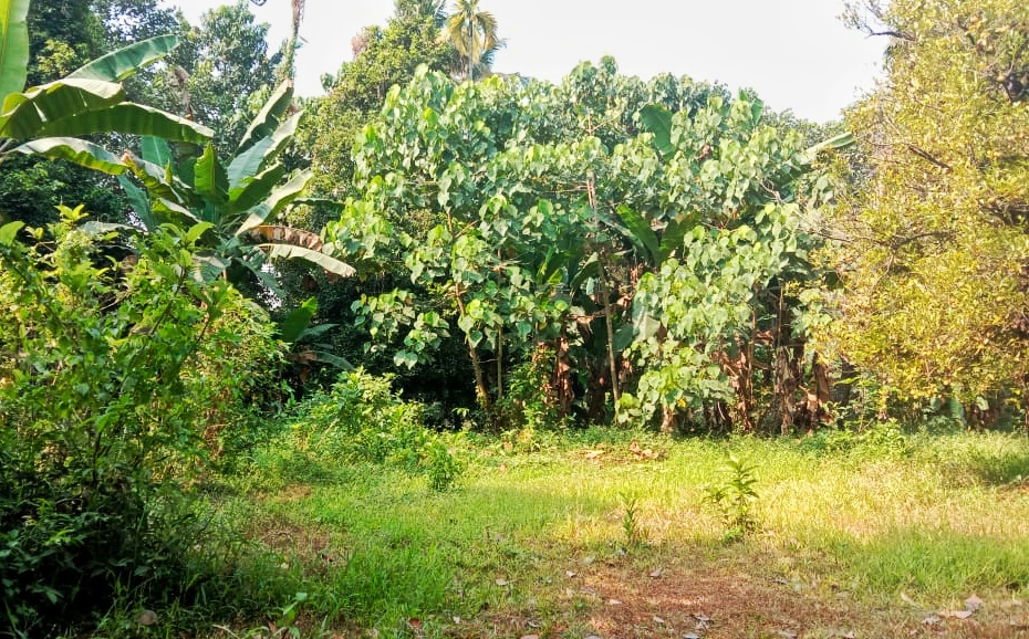 IMG-20210304-WA0007-01