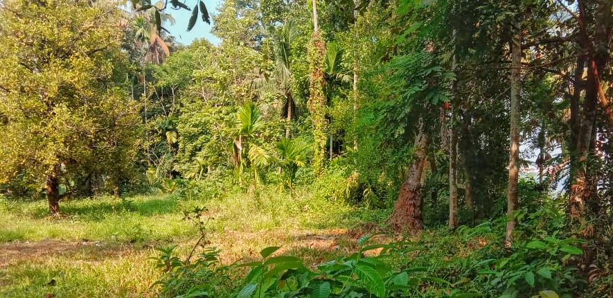 IMG-20210304-WA0008-01