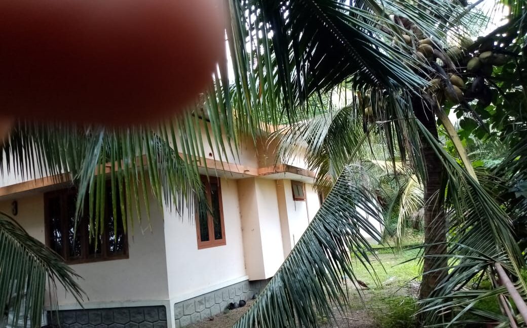 PHOTO-2019-11-03-12-00-36