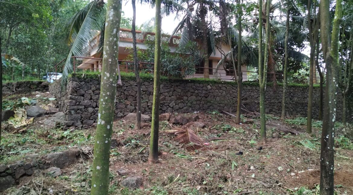 PHOTO-2021-06-18-09-13-44 (1)