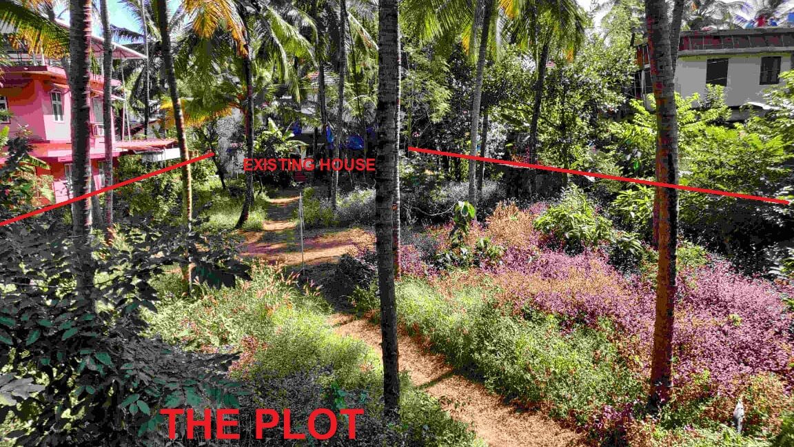 The plot image