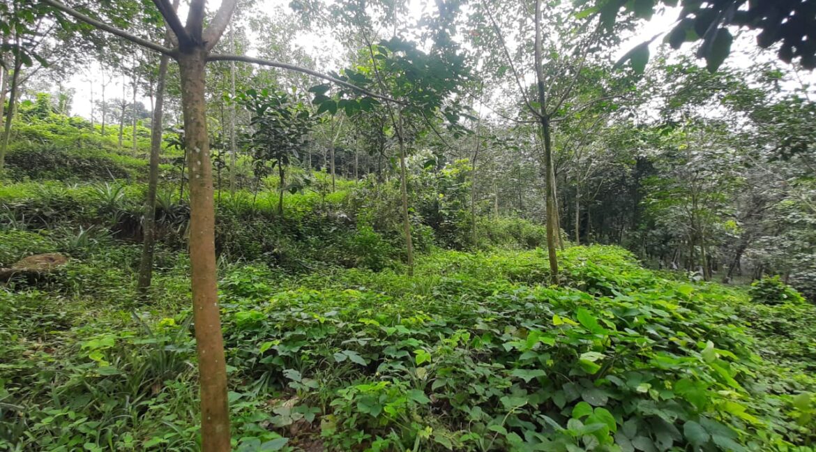 WhatsApp Image 2022-08-23 at 12.15.30 PM(1)