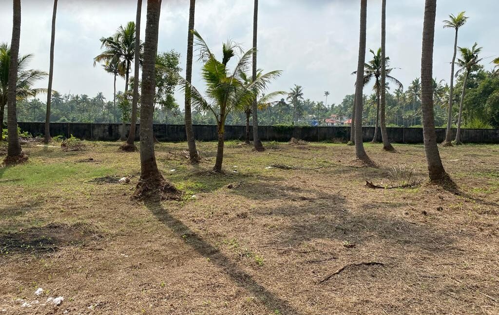 Padiyoor Land 1