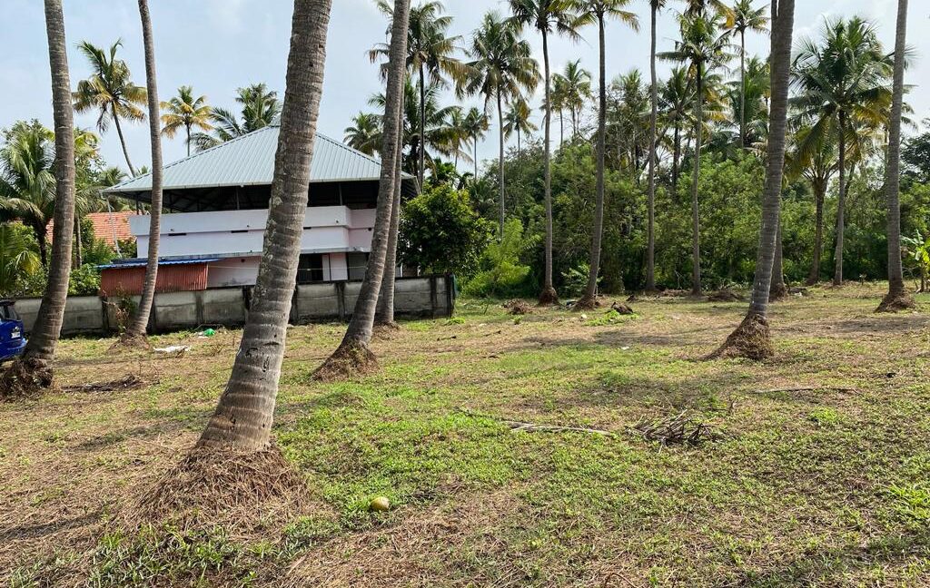 Padiyoor Land 4