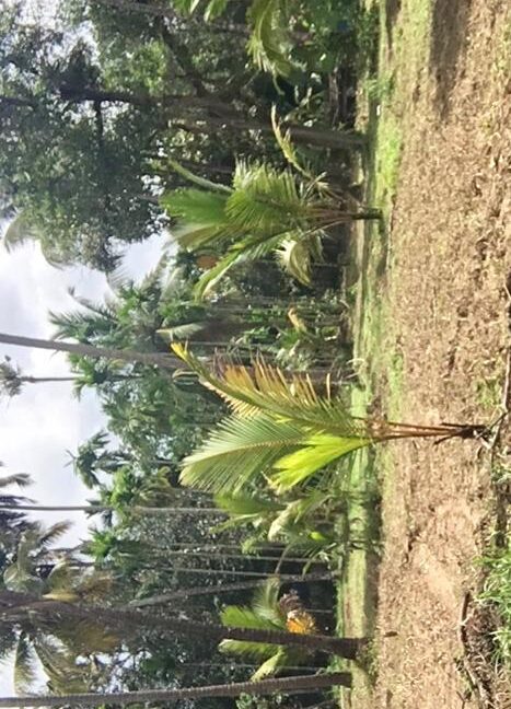 79BEFFB2-8E76-4A94-A89F-DB780617DEDD