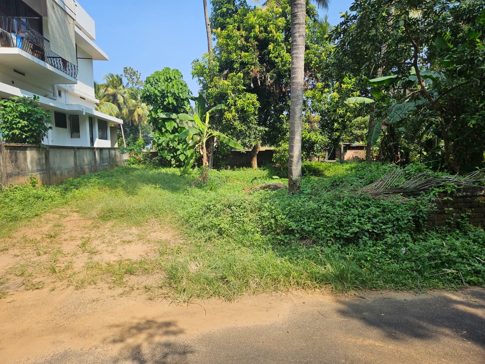 6.5 cents Residential Land For Sale In Chembukkavu, Thrissur