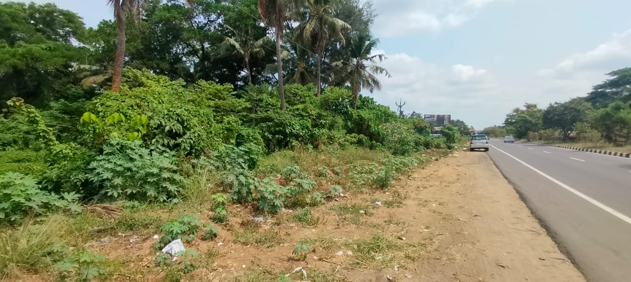 Nadathara Comm. Land 134 cent 14.50 L 1