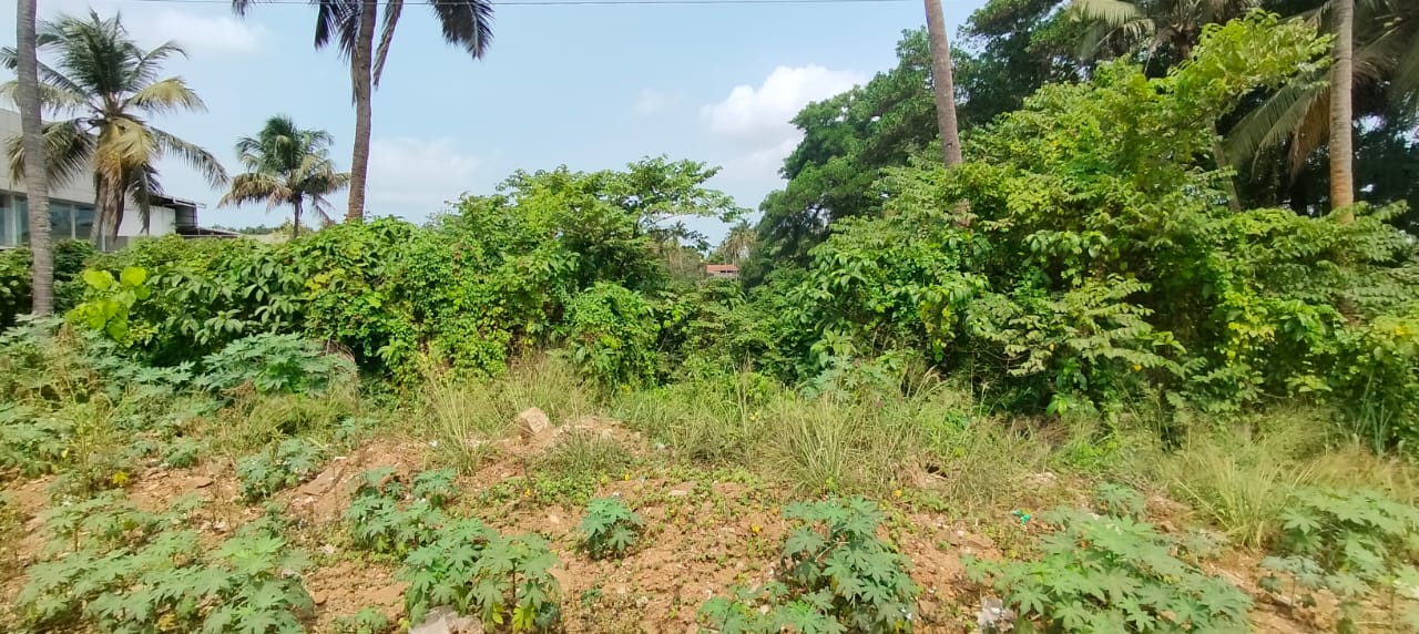 Nadathara Comm. Land 134 cent 14.50 L 3