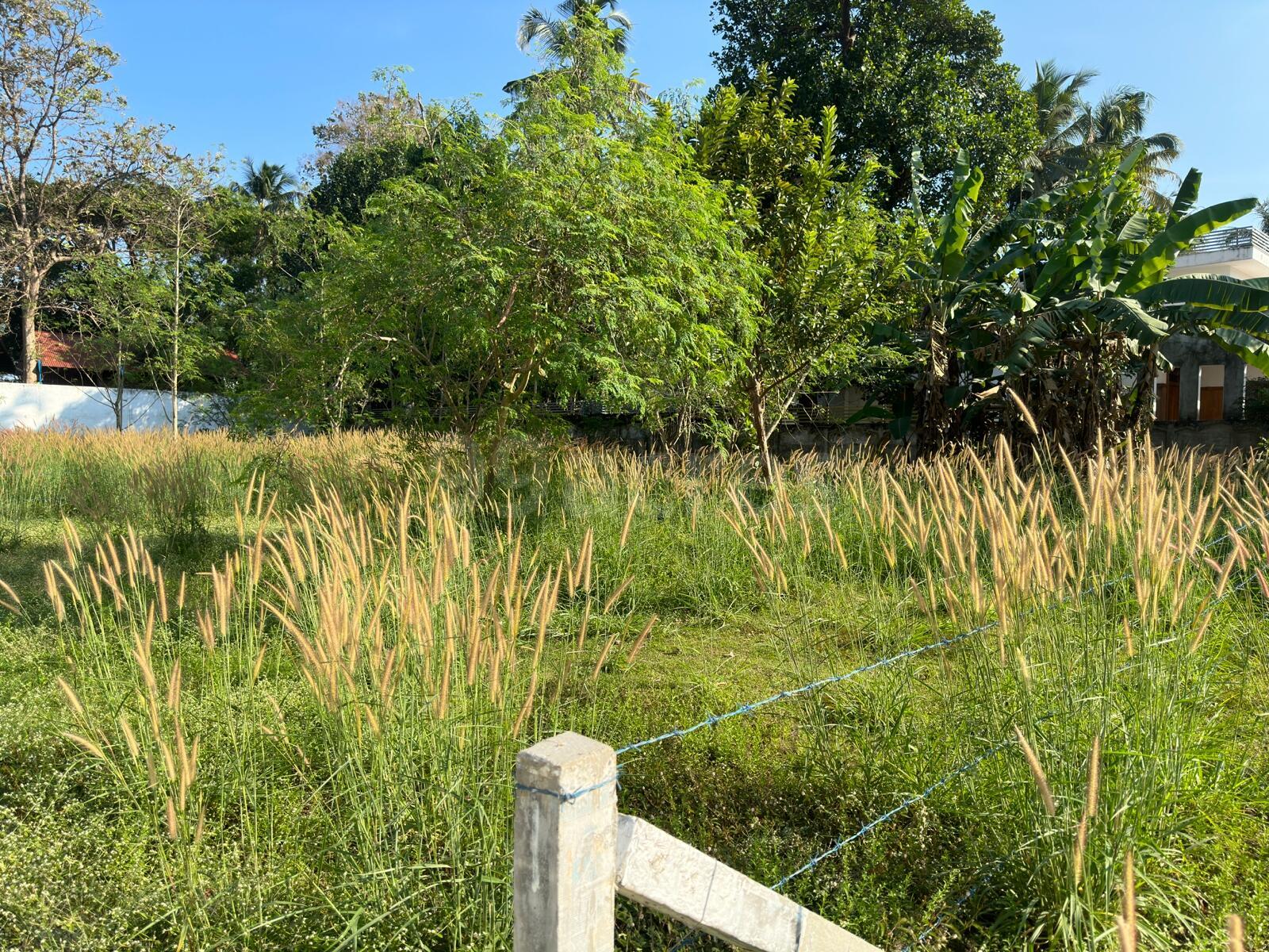 The Residential Land for sale at Olari, Chettupuzha, Thrissur.