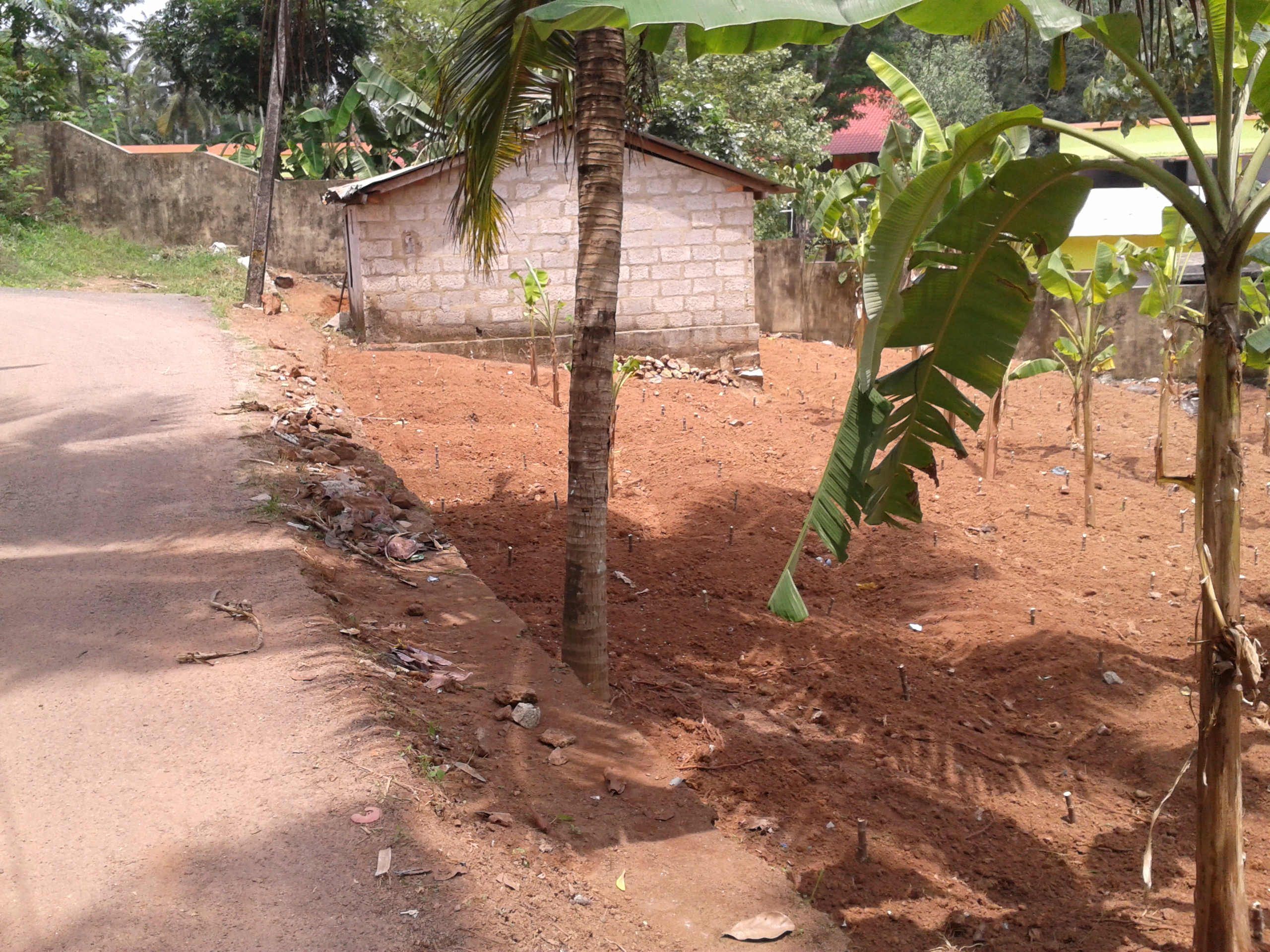 10 cents plot land in Elampa for Sale near Govt. HSS School Elamba house