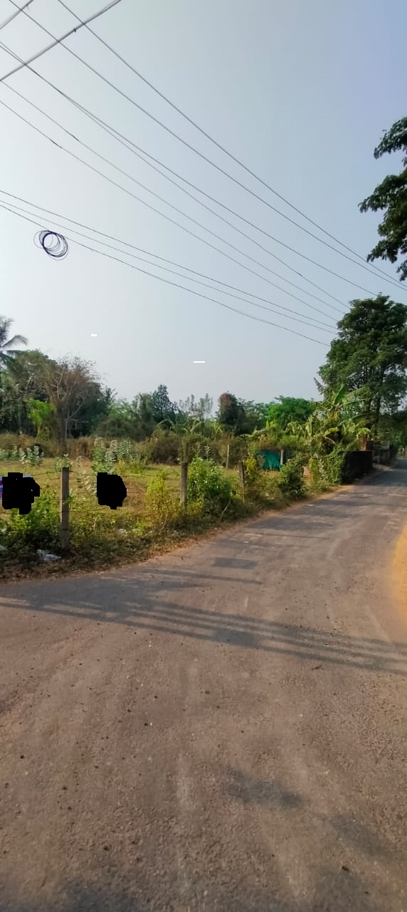 Chembukav 10cent 6.50Lnear museum2